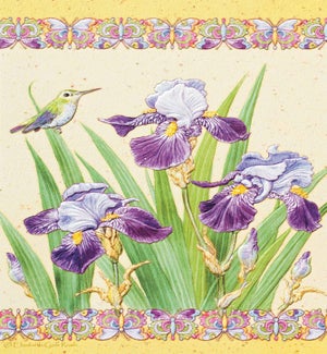 TY/Iris Interlude