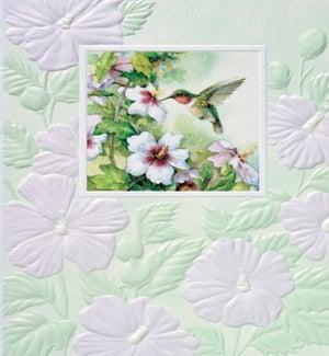 PETITEBOXED/Hummingbird Hello