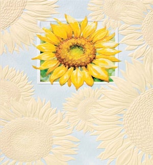 PETITEBOXED/Sun Worshipper