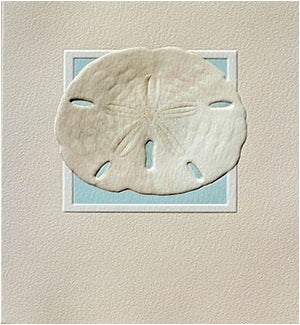 PETITEBOXED/Sand Dollar