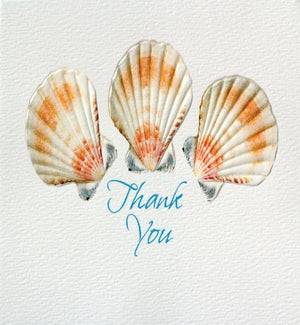 PETITEBOXED/Seashell Trio