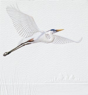 PETITEBOXED/Blue Heron