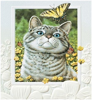 PETITEBOXED/Buttercup