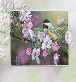 PETITEBOXED/Perched In Pink