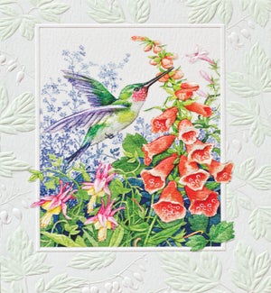 PETITEBOXED/Wild Blossoms