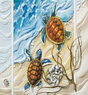 PETITEBOXED/Turtle Twins