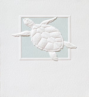 PETITEBOXED/Sea Turtle Splash