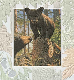 EN/Bear Cub