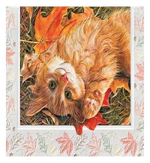 TY/Caturday
