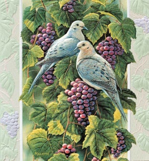 WD/Mourning Doves