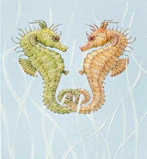 AN/Seahorse Sweethearts