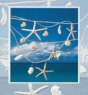GW/Sunny Day Shells