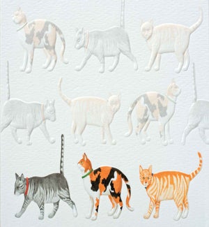 TH/Feline Parade