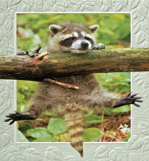 EN/Hang In There