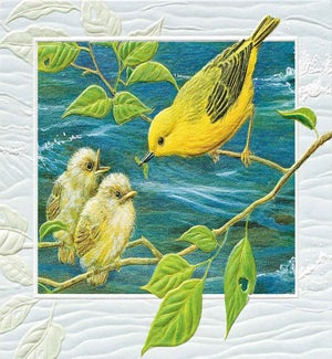 TH/Yellow Warbler