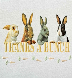 TY/Thanks A Bunch