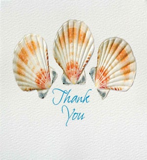 TY/Seashell Trio