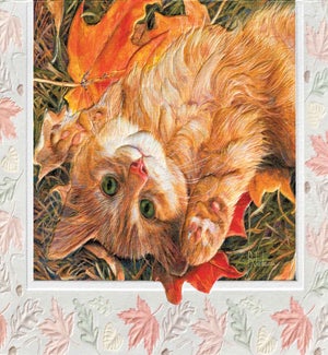 TY/Caturday