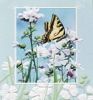 SY/Swallowtail