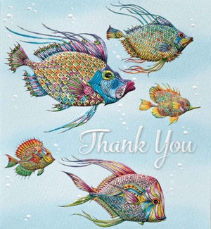 TY/Thankful Fishes
