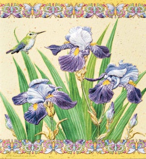 SY/Iris Elegance