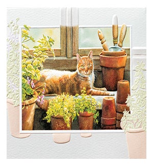 TY/In the Greenhouse