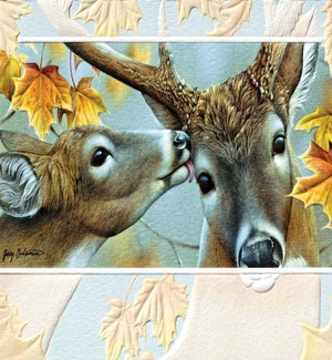 WD/Autumn Dear