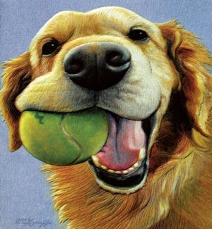 EN/Molly has a Ball
