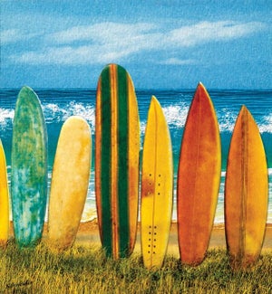 RT/Surf Joyride