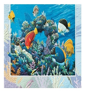 BD/Save Our Reefs
