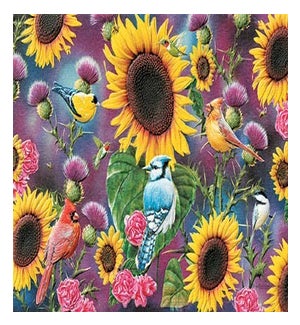 BD/Sunflower Fiesta