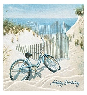 BD/Beach Bike