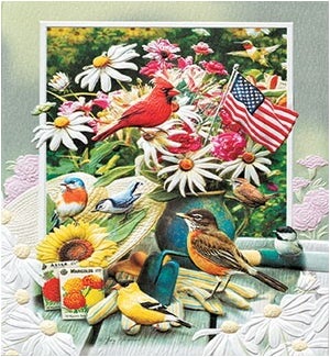 BD/Patriotic Birds