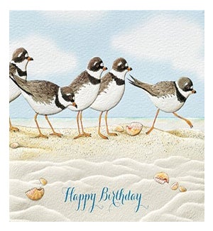 BD/Plover Party