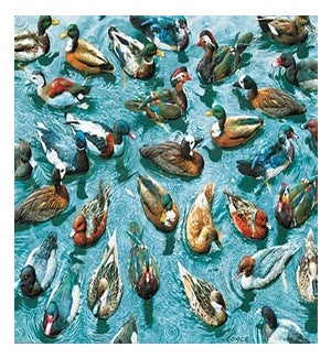 BD/Ducks a Plenty