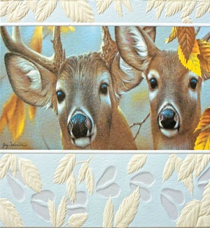 BD/Up Close & Curious