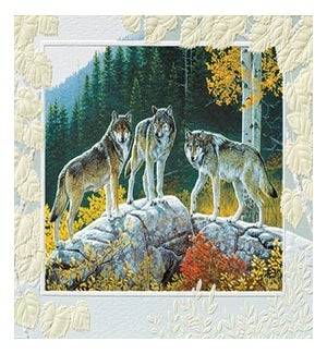 BD/Autumn Wolves