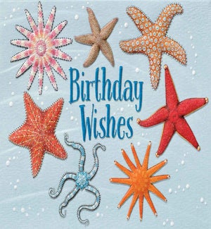 BD/Stars of the Sea