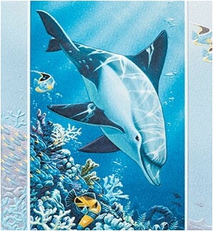 BD/Celestial Dolphin