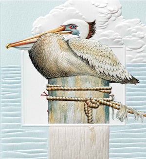 BD/Pensive Pelican