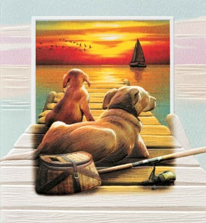 BD/Dockside Dogs