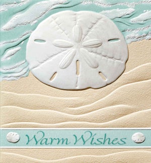 BD/Surf Sand Dollar