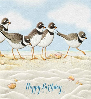 BD/Plover Party
