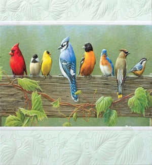 ED/Railbirds
