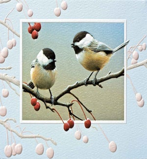 ED/Bright Chickadees