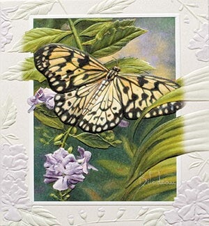 ED/Rice Paper Butterfly