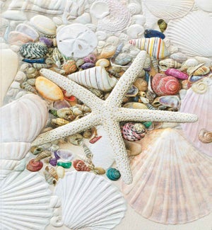 ED/Shell Collections