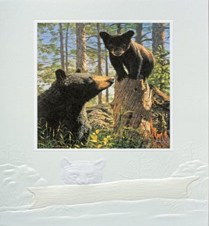 BD/Stump Jumper
