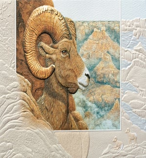 BD/Bighorn Sheep