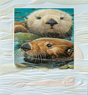 BD/Otterwise